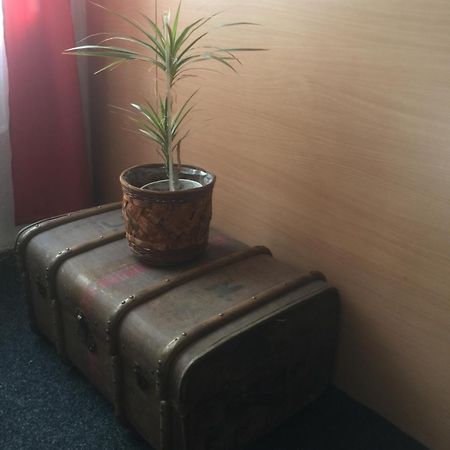 Hotel Dvorak Chrast Esterno foto