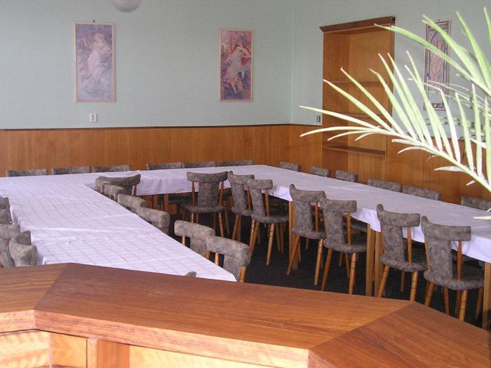 Hotel Dvorak Chrast Esterno foto