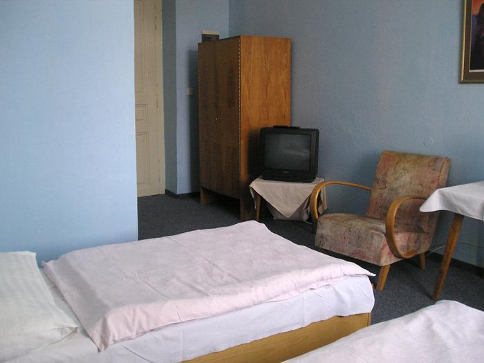 Hotel Dvorak Chrast Esterno foto