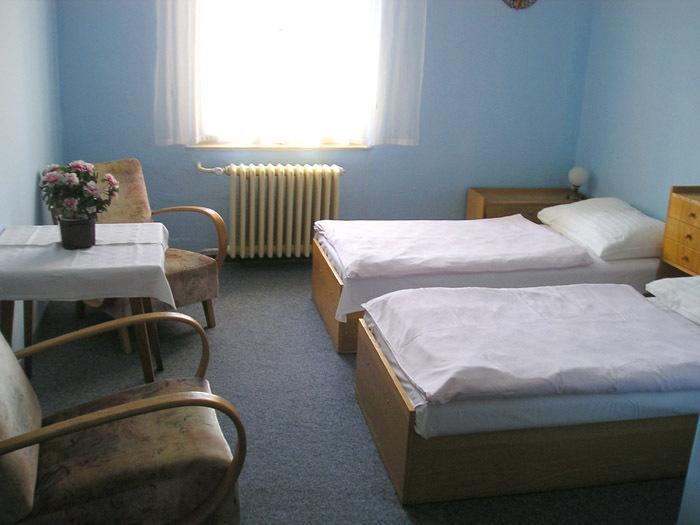 Hotel Dvorak Chrast Esterno foto