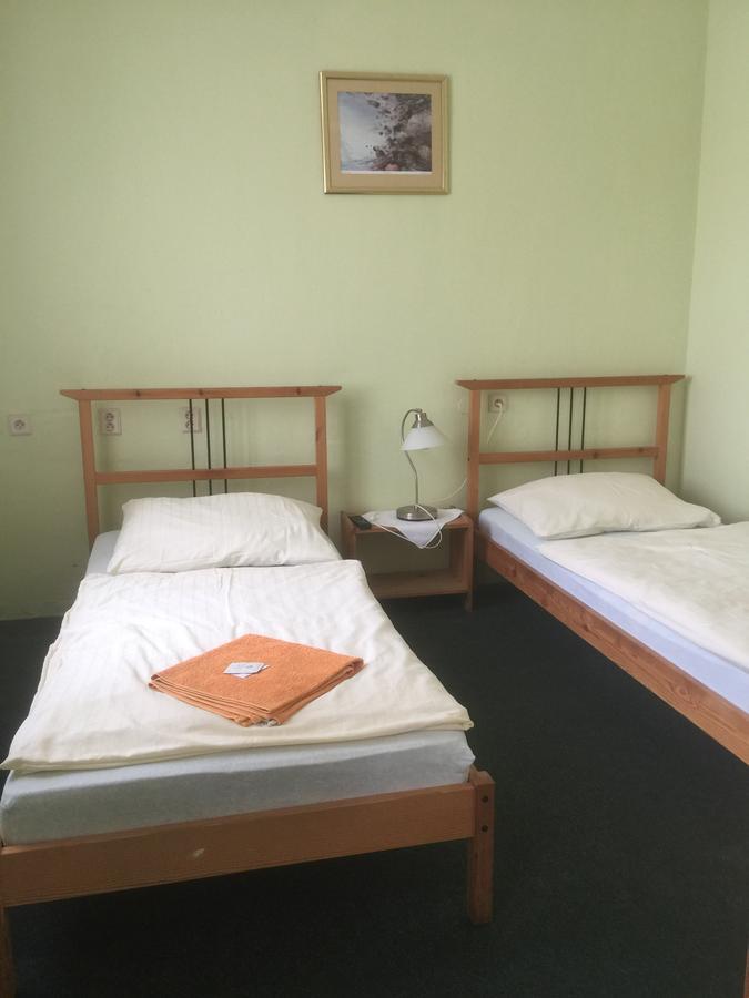 Hotel Dvorak Chrast Esterno foto