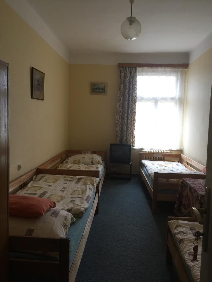Hotel Dvorak Chrast Esterno foto