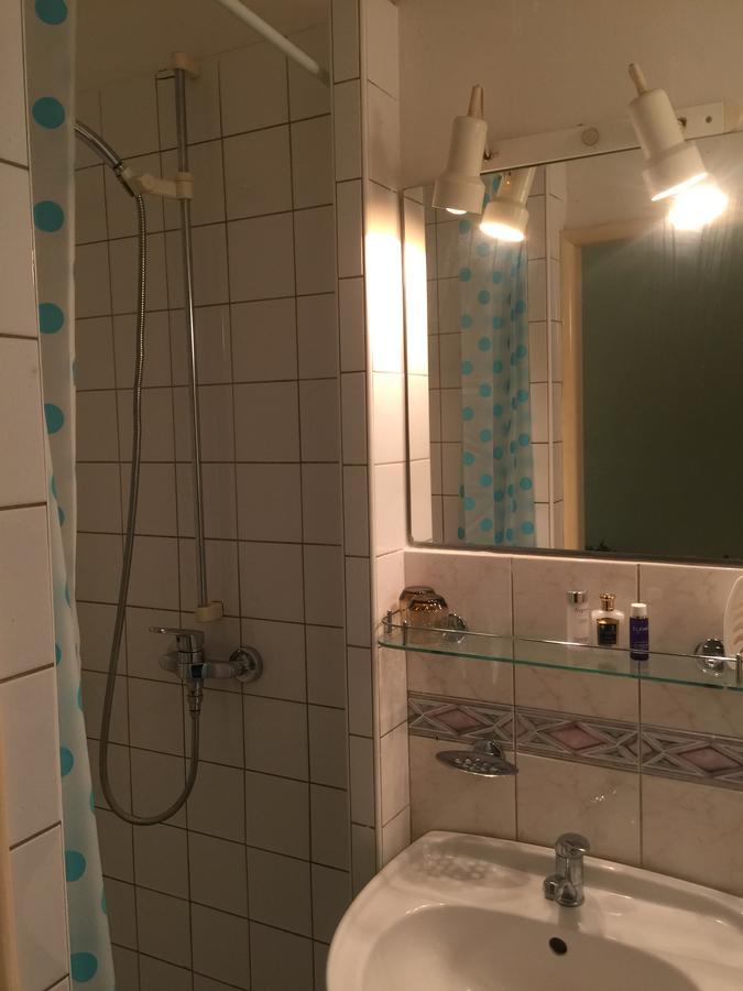Hotel Dvorak Chrast Esterno foto